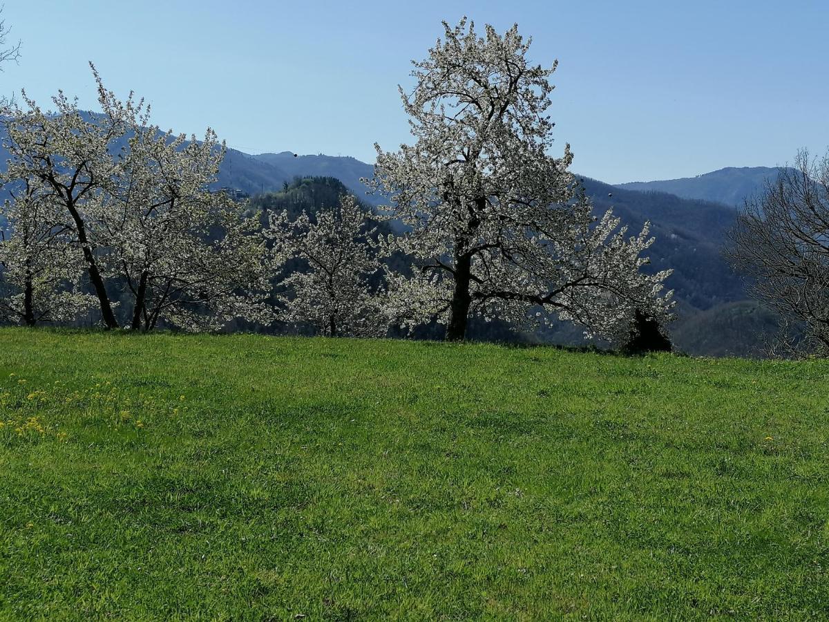 La Casa In Valli 35 Villa Bagni di Lucca Buitenkant foto