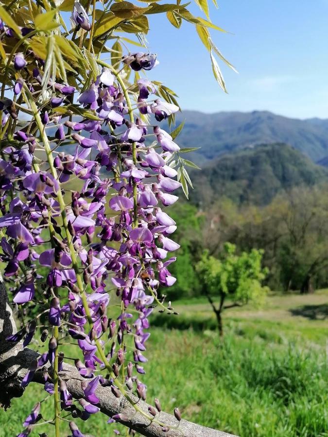 La Casa In Valli 35 Villa Bagni di Lucca Buitenkant foto