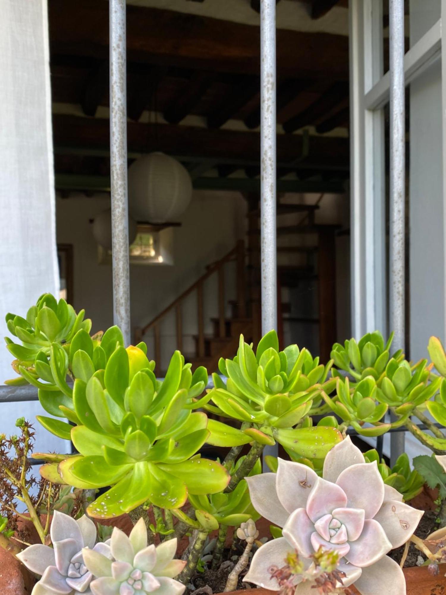 La Casa In Valli 35 Villa Bagni di Lucca Buitenkant foto